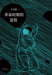 《革命时期的爱情》,王小波-epub,txt,mobi,azw3,pdf电子书免费下载